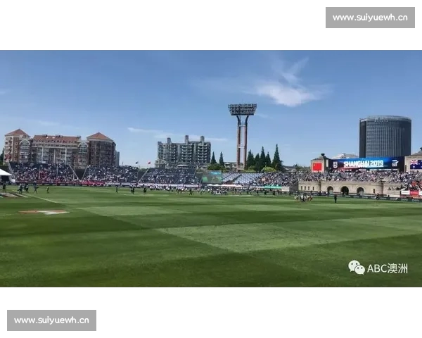 高清足球赛事直播APP下载指南畅享全球赛场精彩即时比分数据分析权威解说 - 副本 (29) - 副本 - 副本 - 副本